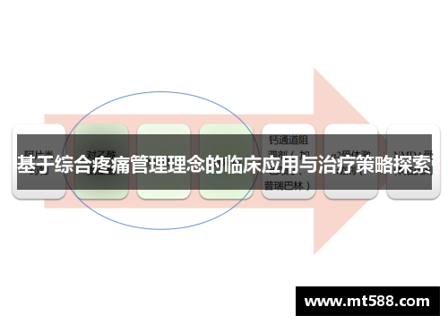 基于综合疼痛管理理念的临床应用与治疗策略探索