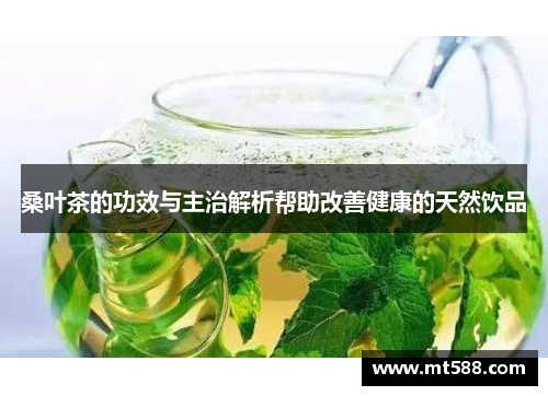 桑叶茶的功效与主治解析帮助改善健康的天然饮品